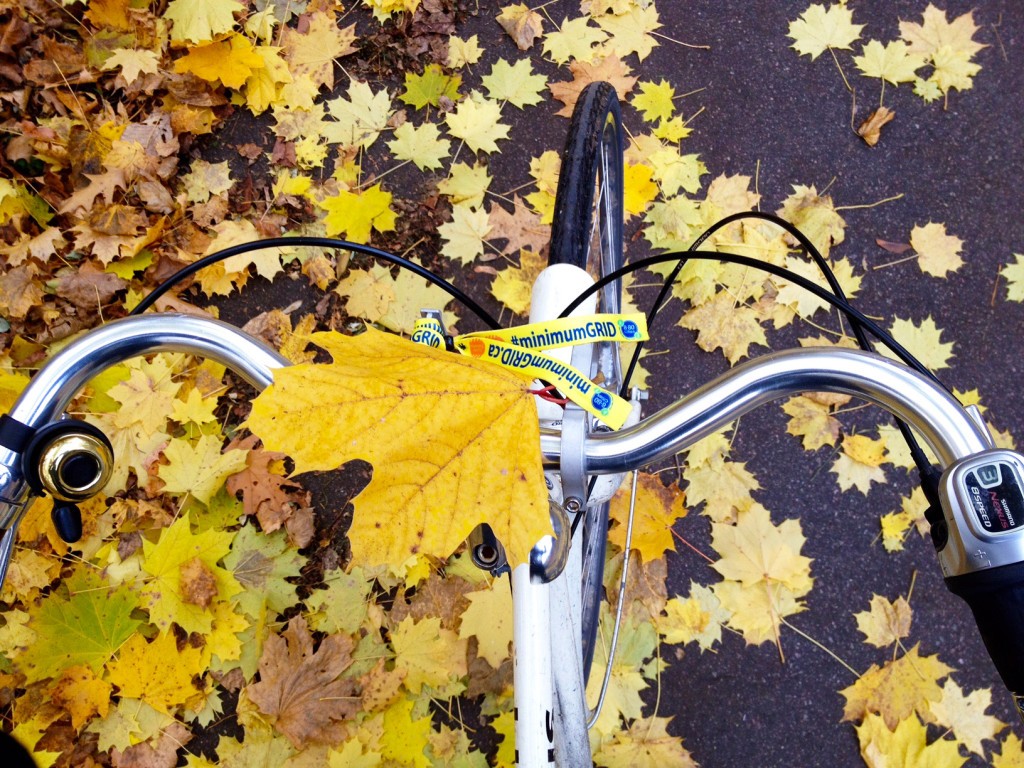 Fall is a gorgeous time to ride the trails! Watch for mud and fallen branches.